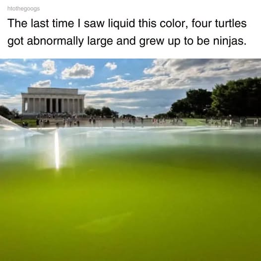 1781846646525.png