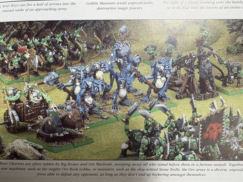 warden20260619_trolls inspiration.jpg
