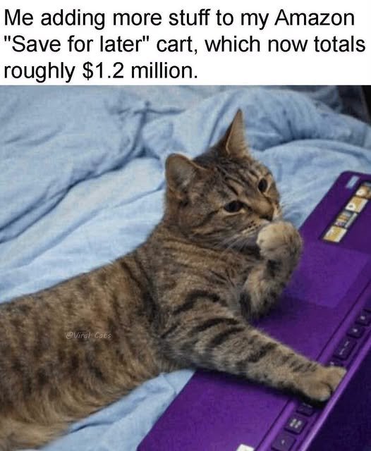 747903078_1033658846061471_6975134479084020975_n.jpg