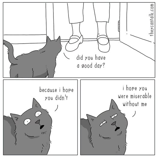 1784513003391.png
