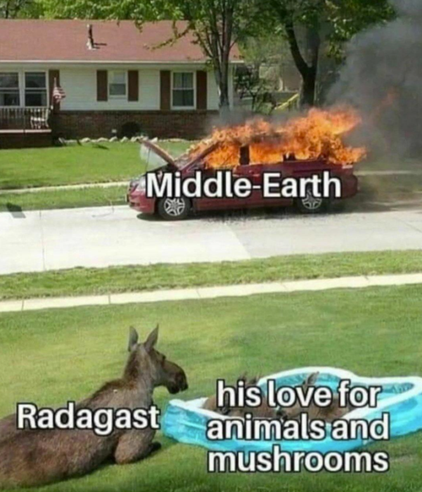 1785700700134.png