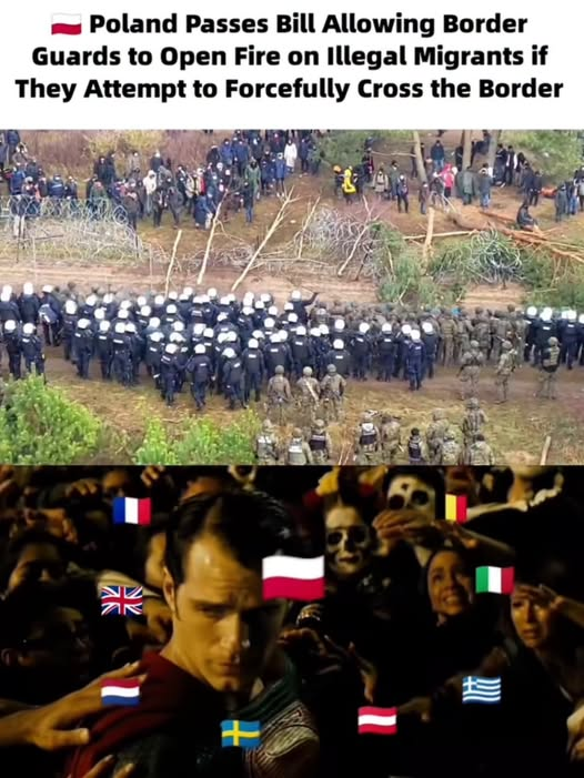 1785823281822.png