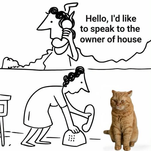 763018679_1830812194723941_6011607116915902832_n.jpg