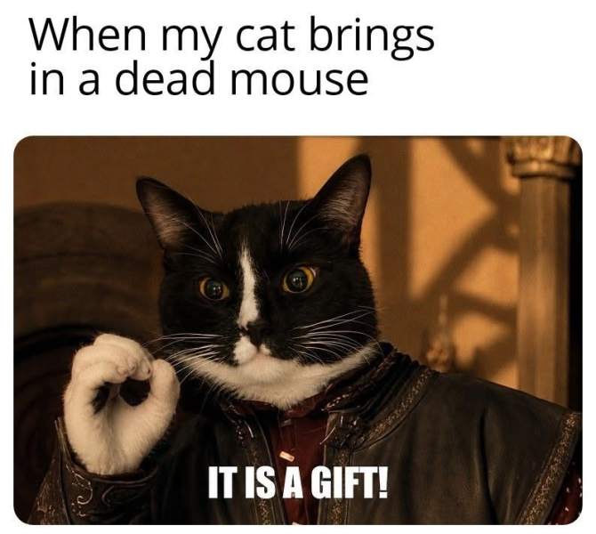 1786254257432.png