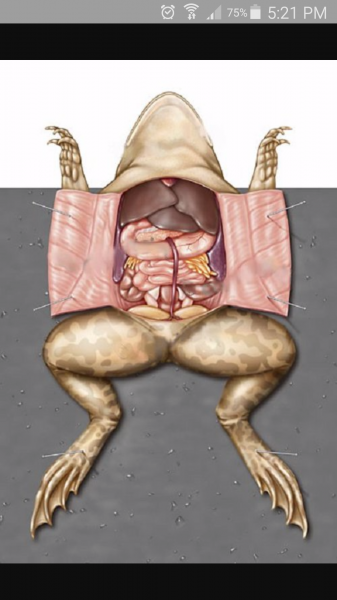 Screenshot_2015-10-07-17-21-57.png Screenshot_2015-10-07-17-21-57.png