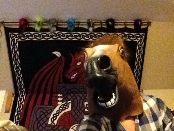 image.jpeg image.jpeg