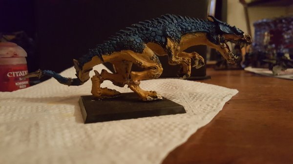 20151125_210710.jpg