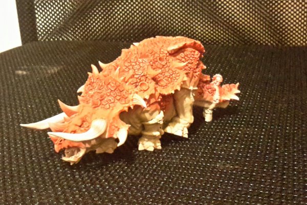 20160124_234447-1.jpg