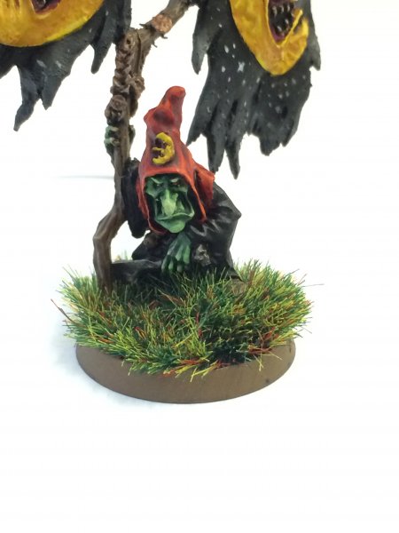 gobbo 011.JPG