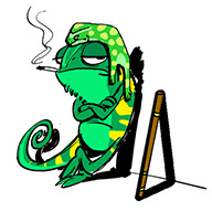 chameleon-cool_avitar.jpg