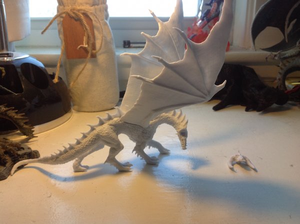 image.jpeg image.jpeg