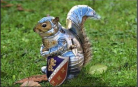 funny-squirrel-in-armour.jpg