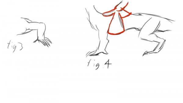 shonlder 2.jpg shonlder 2.jpg