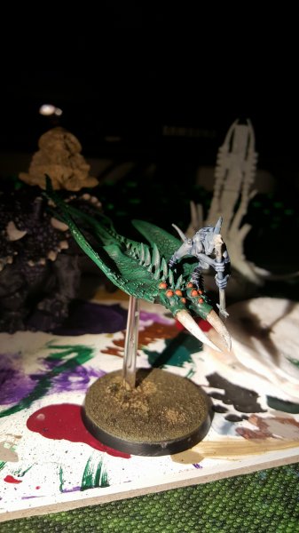 20160308_000026.jpg 20160308_000026.jpg