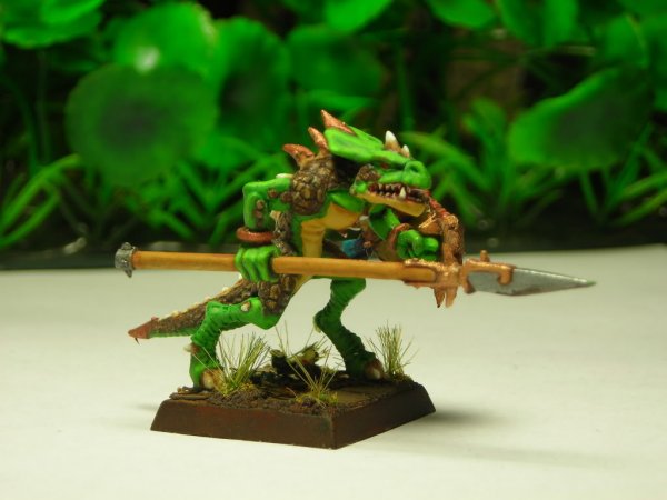 DSCN1001.jpg DSCN1001.jpg