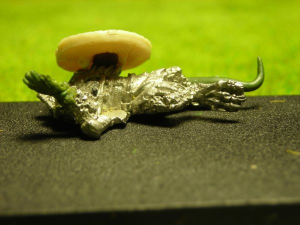 DSCN1023.jpg DSCN1023.jpg