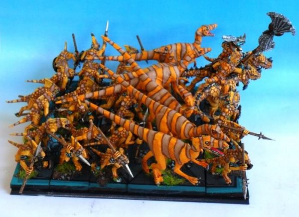 24-3skinks2.jpg