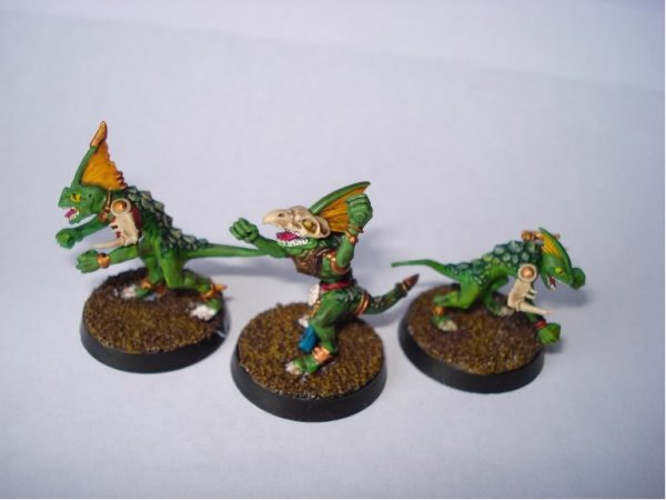 SkinksPainted.jpg SkinksPainted.jpg