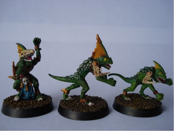 SkinksPainted2.jpg SkinksPainted2.jpg