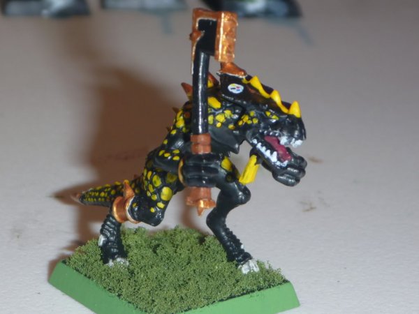 P1030720.jpg P1030720.jpg