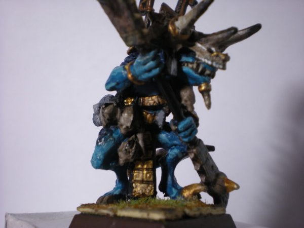 DSCN1078.jpg DSCN1078.jpg