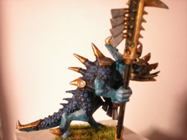 DSCN1072.jpg DSCN1072.jpg