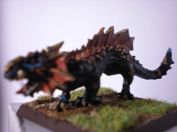 DSCN1085.jpg DSCN1085.jpg