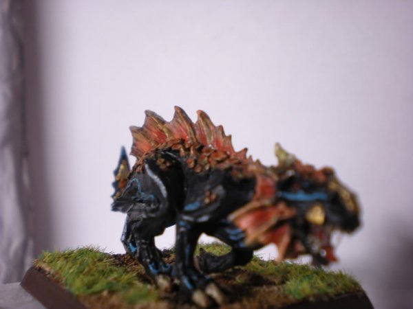 DSCN1086.jpg DSCN1086.jpg