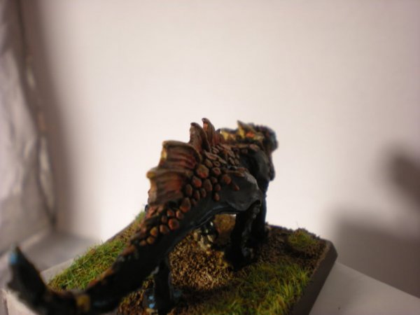 DSCN1087.jpg DSCN1087.jpg