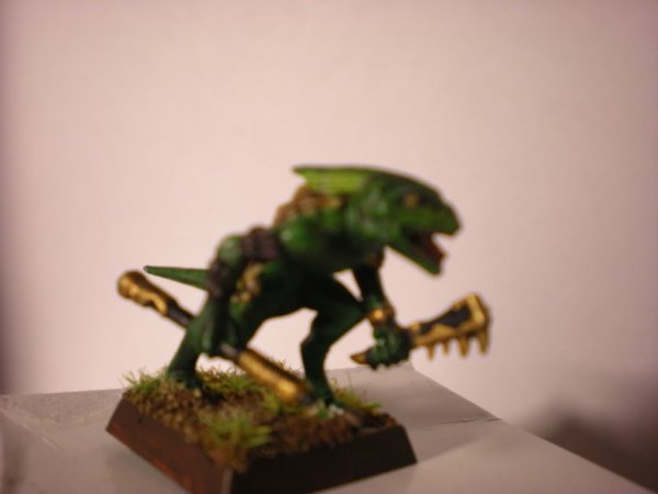 DSCN1075.jpg DSCN1075.jpg