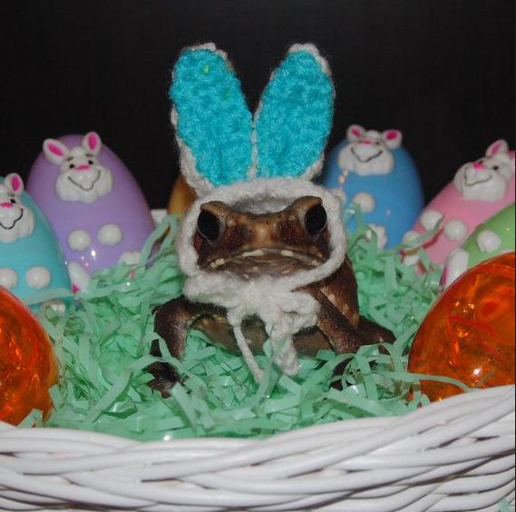 Easter Lizard.png