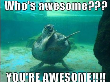 Awesome turtle.png