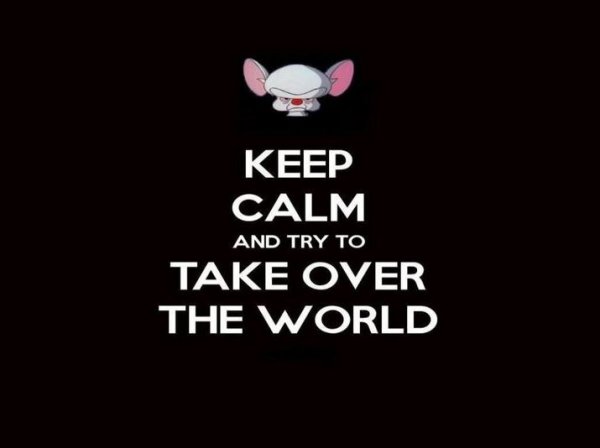 pinky and the brain.JPG pinky and the brain.JPG