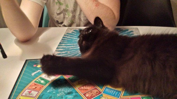 20160315_191318_Richtone(HDR).jpg 20160315_191318_Richtone(HDR).jpg