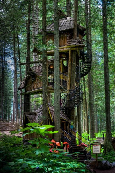 jungle tree house 1.jpg