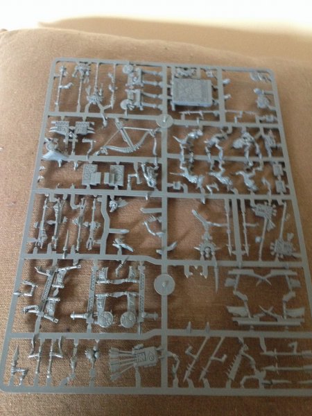 IMG_2541.JPG IMG_2541.JPG