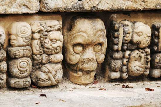 Copan Skull.jpg Copan Skull.jpg