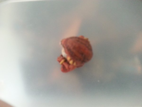 20160519_102957.jpg 20160519_102957.jpg