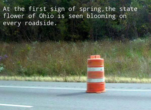 ohio-state-traffic-cone.jpg