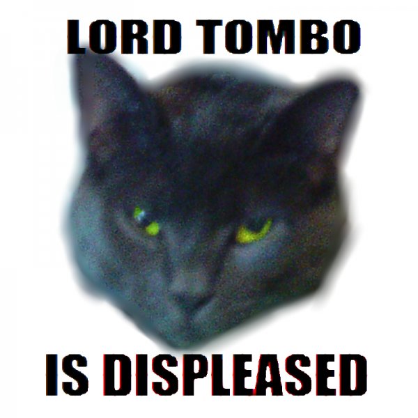 LORD TOMBO IS DISPLEASED.jpg