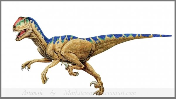 Deinonychus by markstewart on DeviantArt.jpg