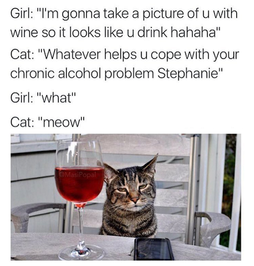 cat-wine.png