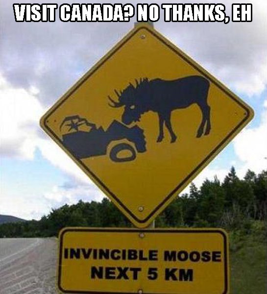 canada-moose.jpg