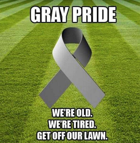 gray-pride.jpg