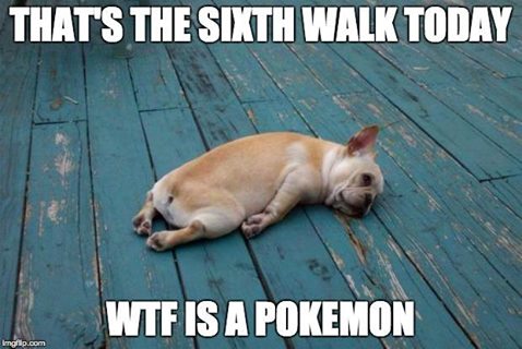 13654408_1147745991956306_6486085929816190751_n.jpg 13654408_1147745991956306_6486085929816190751_n.jpg