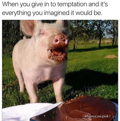 give-in-to-temptation-pig.jpg