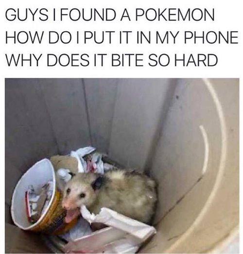 pokemon-possum.jpg