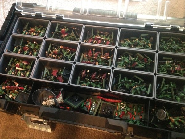 IMG_9482.JPG IMG_9482.JPG