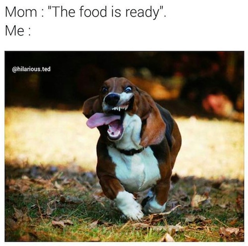 food-is-ready-dog.jpg