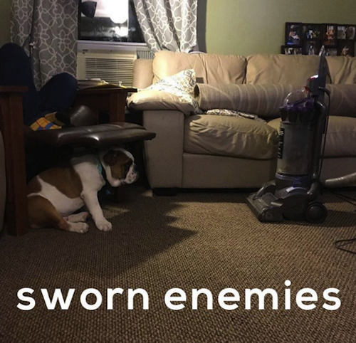 sworn-enemies-dog-vacuum.png